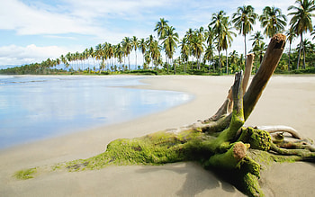 2013 Awesome Nature Background HD wallpaper