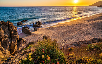 Malibu beach at sunrise, golden, sea, exotic, paradise, beautiful, sunrise, stones, summer, wildflowers, waves, sands, Malibu, sunset, ocean HD wallpaper