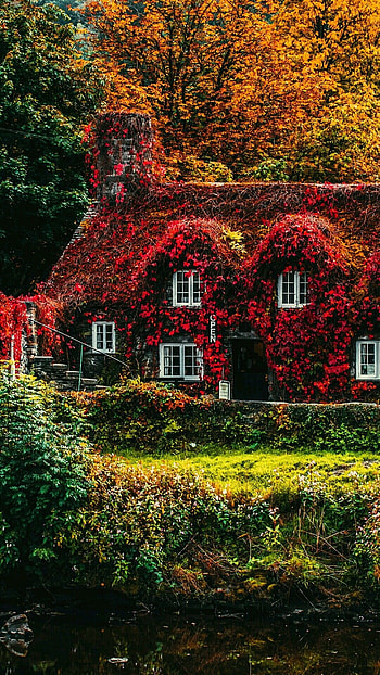 Autumn landscape colors, Serene countryside, Fall beauty, Nature's tranquility HD phone wallpaper