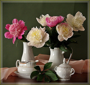 time for tea with peonies, still life, flowers, peonies, tea HD wallpaper