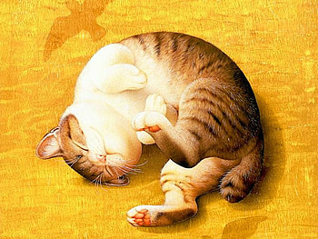 Sweet cat paws, sweet, animal, kitten, yellow, mammal, cat, feline, paw HD wallpaper