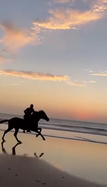 Beach, horse, sky HD phone wallpaper