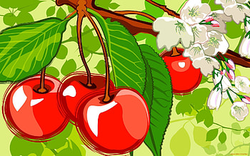 Food, Cherry, , Berries HD wallpaper