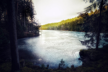 Winter, trees, forest, frozen lake, nature HD wallpaper