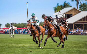 Polo: No longer reserved, Sport of Kings, Class transcends royalty HD wallpaper