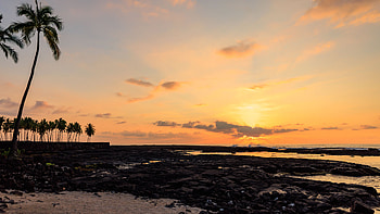 Coast Stones Palm Trees Ocean Waves Silhouette Background Sunset Nature HD wallpaper