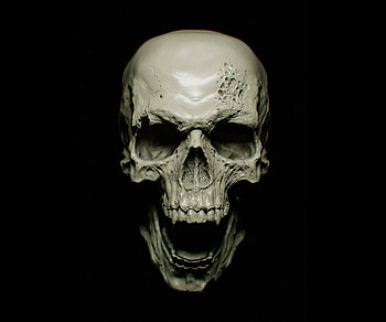 Skull, skull, digital-art, artist HD wallpaper