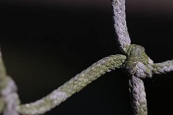 Macro, Moss, Rope, Knot HD wallpaper