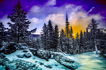 WINTER, clouds, trees, sky, nature HD wallpaper