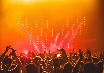 Energetic crowd at a live concert with bright stage lights and hands raised in celebration. HD wallpaper