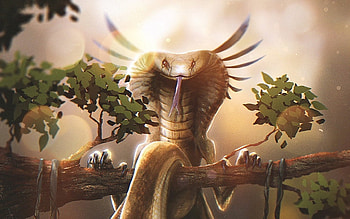 Cobra, snake, dmitry ananiev, fantasy HD wallpaper