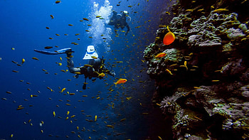 Go diving, Social diving community, Underwater adventure, Dive enthusiasts HD wallpaper