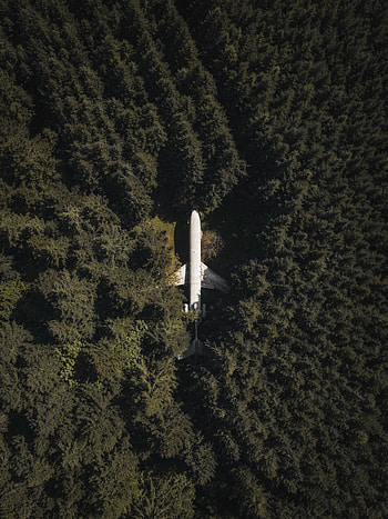 Trees, View From Above, Top, Miscellanea, Miscellaneous, Forest, Tops, Plane, Airplane HD phone wallpaper