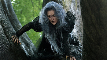 Into the Woods (2022) movie HD wallpaper