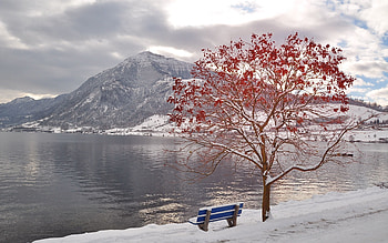 Nature, Autumn, Leaves, Mountain, Lake, Wood, Tree, Frost, Bench, October HD wallpaper
