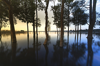 Lake, trees, reflections, sunrise, nature HD wallpaper