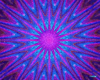Abstract flower, blue, by cehenot, art, purple, pink, painting, abstract, pictura, flower, texture HD wallpaper