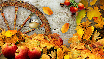 Fall Harvest Mobile HD wallpaper