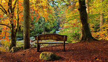 Autumn in Scotland, autumn, trees, foliage, park, river, bench, Scotland, fall, beautiful, stones, serenity, rest, view HD wallpaper