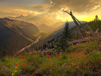Nature, Flowers, Rivers, Sunset, Mountains, Multicolored, Evening HD wallpaper