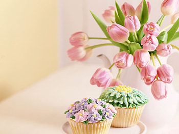 Plants, Flowers HD wallpaper