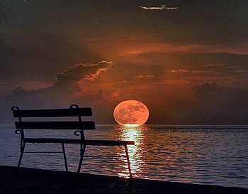 Special night, night, bench, moon, water, ocean HD wallpaper