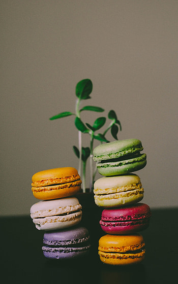 Macarons, plants, colorful HD phone wallpaper