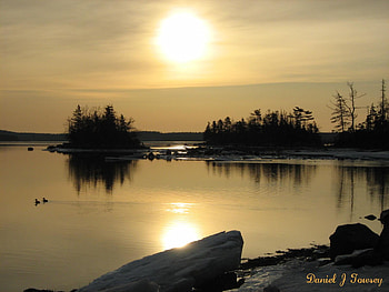 Morning Surprise, danieltowsey HD wallpaper