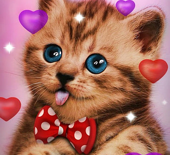 Kitten, animal, eyes, cute, cat, dot, pisica, valentine, red, face, funny, heart, tongue, silly, bow HD wallpaper