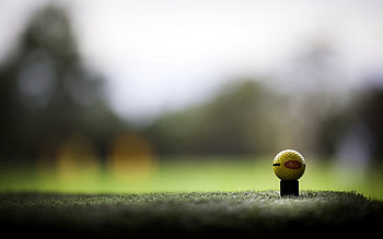 Grass, Miscellanea, Miscellaneous, Ball HD wallpaper