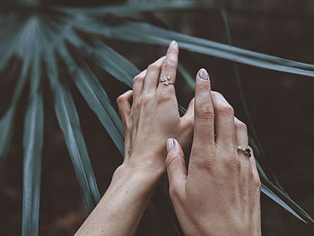 Leaves, Plant, Miscellanea, Miscellaneous, Hands, Fingers HD wallpaper