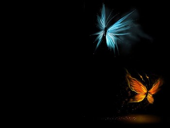Black Butterfly Background HD wallpaper