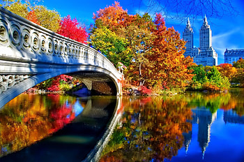 Man Made - Bridge Man Made Central Park New York Fall Foliage Tree Building Reflection HD wallpaper