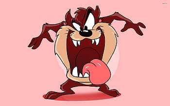 Search Results for “taz tasmanian devil ” – Adorable HD wallpaper