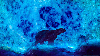 Art, Bear, Glow, Snowstorm, North, Northern HD wallpaper