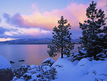 Winter on a Lake, winter, nature, lake HD wallpaper