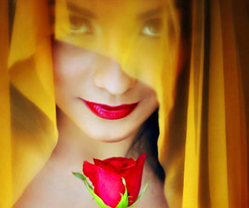 Yellow and red, sexy, rose, girl, model HD wallpaper