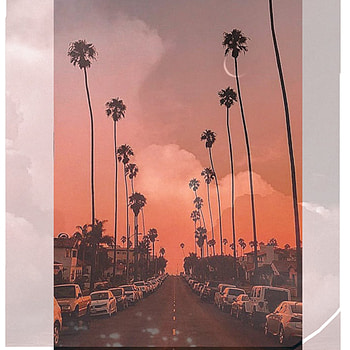Asthetic Palmtrees, cloud, sky, town HD phone wallpaper