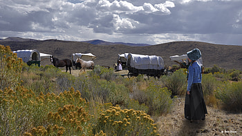 On The Oregon Trail, pionear, coveredwagons, pioneergirl, horses, ontheoregontrail, girl, sagebrush HD wallpaper