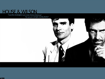 Cinema, People, Men, House M.d., Robert Sean Leonard, Hugh Laurie HD wallpaper