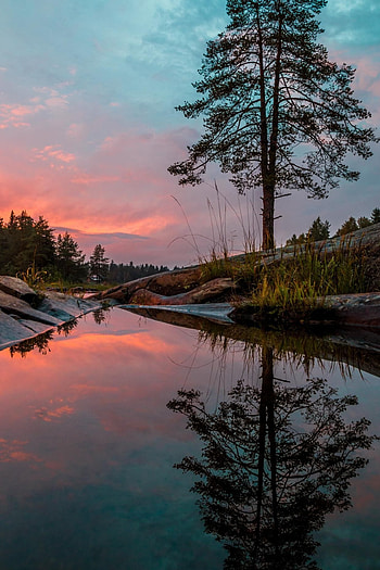 Koitelinkoski, Finland HD phone wallpaper