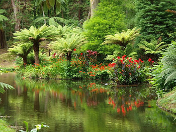 Exotic garden, palms, exotic park, garden, red flowers, beautiful, big trees, reflection, greens, water HD wallpaper