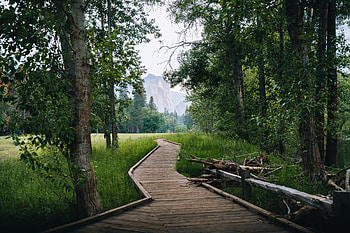 Yosemite National Park, man made, boardwalk HD wallpaper