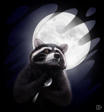Funny, Art, Moon, Spoon, Raccoon HD phone wallpaper