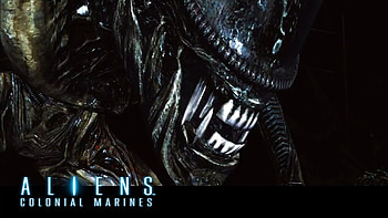 Alien Movie </b HD wallpaper