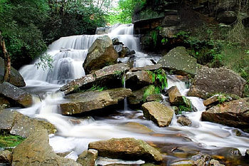 Rocks in the Way, falls, trees, water, rocks HD wallpaper