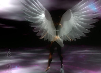 Fantasy angel, wings, black, woman HD wallpaper