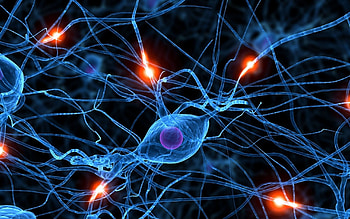 brain synapse neurons Art HD wallpaper