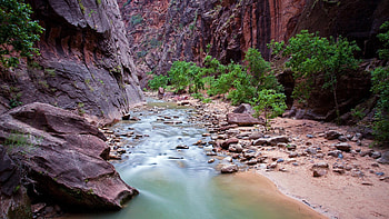 Zion National Park, Virgin River gorge, United States, Zion HD wallpaper