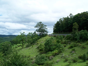 just around the bend, clouds, sky, tress, green grass, mountains HD wallpaper